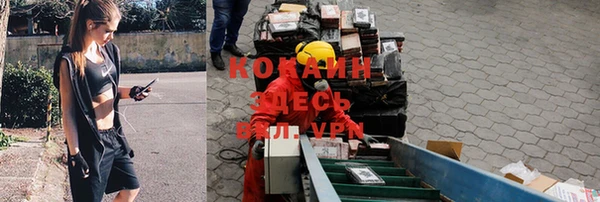 круглые Абаза