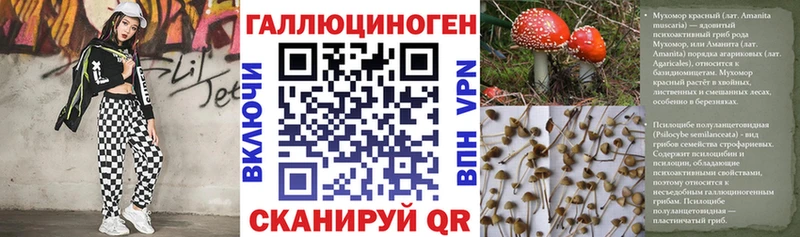 Псилоцибиновые грибы GOLDEN TEACHER  Гдов 